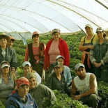 ¿Por qué necesitamos traer 3.000 trabajadores inmigrantes para recoger la fresa?