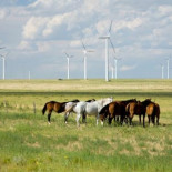 El Pentágono frena tres parques eólicos de Iberdrola en EEUU