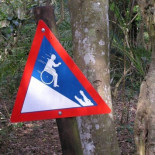 20 señales ridículas en zoológicos [ENG]