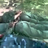 Los soldados de Gadafi matan a los heridos de los hospitales en Trípoli