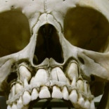 Cuando pierdes los dientes de leche