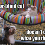 ¿Cómo vemos los daltónicos?