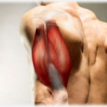 Un brazo artificial de la época Victoriana totalmente funcional. Año 1800s