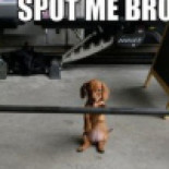 ¿Por qué hay que dormir con osito de peluche?