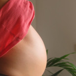 "Me ha puesto pegas un ente público"