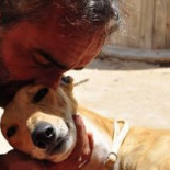 Prenden fuego a la protectora TerraCan Ferrol con los animales dentro