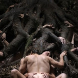 Polvos de cine: sexo real en películas no pornográficas