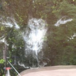 Esto es lo que pasa cuando un búho se estrella contra el vidrio de tu ventana ... [EN]