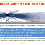 El timo de la hipersensibilidad radioeléctrica