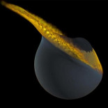 También la Luna tuvo su luna