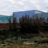 Valencia: La basura metropolitana subirá un 250%