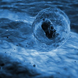 Descubren una increíble terapia que puede curar el cáncer con células “natural born killers”