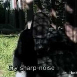 Michael, un gorila que puede usar el lenguaje de signos, describe como mataron a su madre mientras miraba