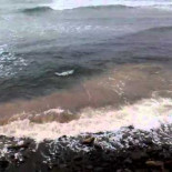 Así se cuida la costa