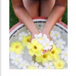 Ayer fui a la farmacia y me quisieron vender flores de Bach