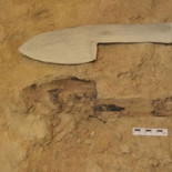 Descubren una pala de neandertal de hace 56.000 años