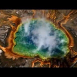 Merece la pena morir por la Tierra .Video