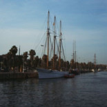 Niveles alarmantes de mercurio en la población española