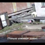 Es peligroso orinar cerca del círculo polar [Ru/Eng]