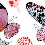 ¿Por qué no recuerdo mi accidente?