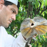 La telebasura llega a los documentales de naturaleza