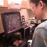 Cómo hacer que un cáncer se suicide