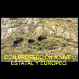 ¿Sabes quién es Victorino Alonso?