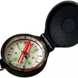 7 maneras de encontrar el norte si estás perdido en el bosque