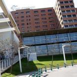 Identifican el material genético que hace inmortales las células tumorales