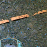 Una línea en la orilla