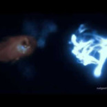 Bioluminiscencia en la cámara