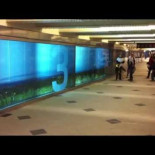 Demostración visual de cómo de rápido es necesario correr para ganar una maratón