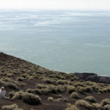 Científicos de organismos oficiales denuncian la opacidad de los datos de El Hierro
