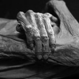 Las 25 mejores fotografías de Wikipedia (ru)