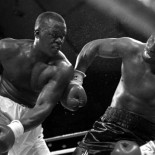 El hombre que derribó a ‘King Kong’