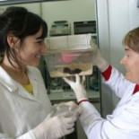 Euskadi incrementa un 8% la producción científica, pese a la crisis