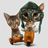 Oskar, el gatito ciego jugando