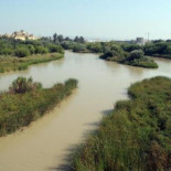 Dos compuestos químicos de las cremas con filtro UV contra el sol podría llevar a la extinción a los peces de río