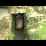 ¿El queso Cabrales se hace con gusanos?