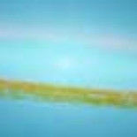 Cámara en directo 24h desde la ISS