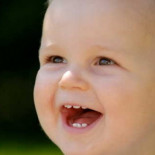 Dientes de leche, nueva fuente de células madres