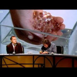 Pero, ¿cuántas bolas ves en la imagen?