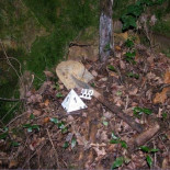 Encuentran un zulo en Vizcaya con explosivos, temporizadores y detonadores