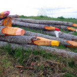 Lo mejor del año en cuanto al arte callejero