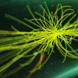 El CERN acorrala la región en la que se esconde el bosón de Higgs