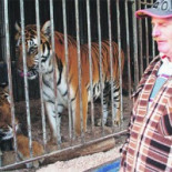 Prohíben circos con animales en Alemania