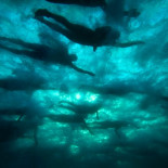 Las 111 fotos más extrañas y maravillosas de 2011