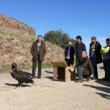 Cospedal fulmina a los veterinarios de la fauna amenazada
