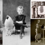 ¿Qué demonios es esto? WTF?