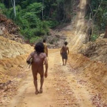 Madereros queman viva a niña awá en Brasil